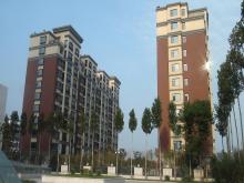 濰坊市和春住住宅樓，獲得2013年度濰坊市“優(yōu)質(zhì)結(jié)構(gòu)杯質(zhì)量獎(jiǎng)”
